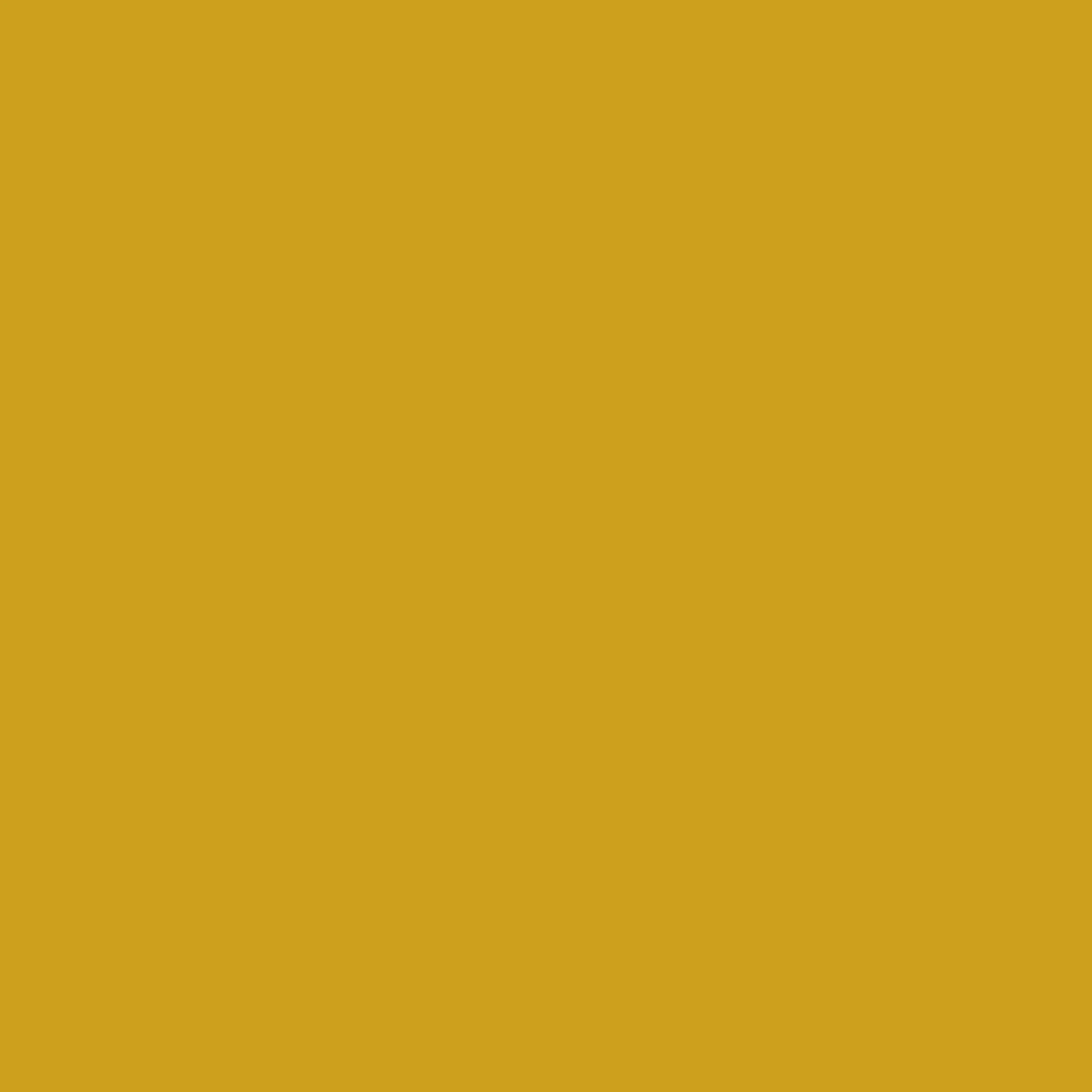 Lemon-curry-background-image.webp